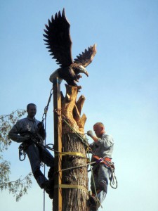 Chainsaw Wood Carving
